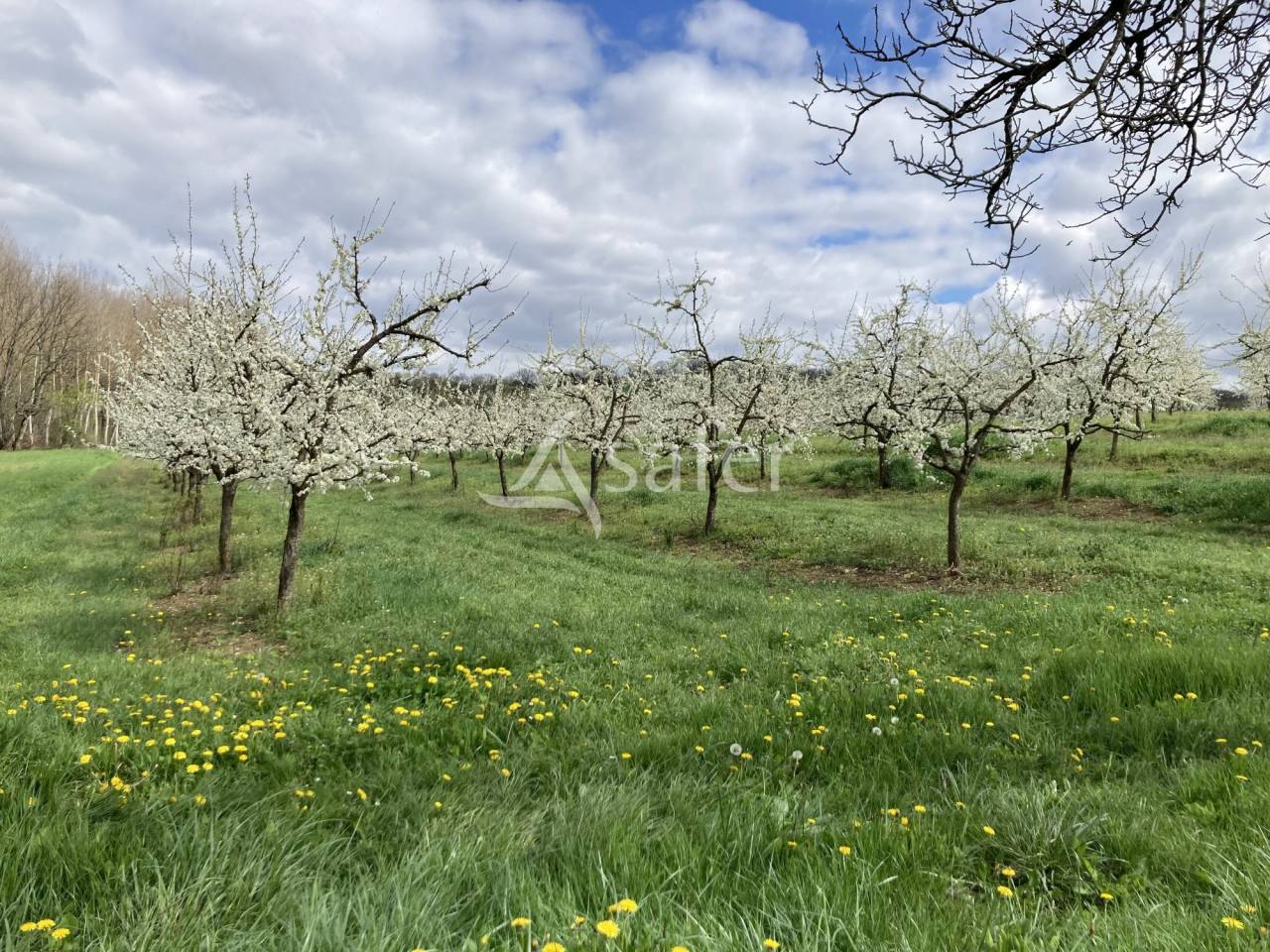 Other agricultural property  Lot-et-Garonne