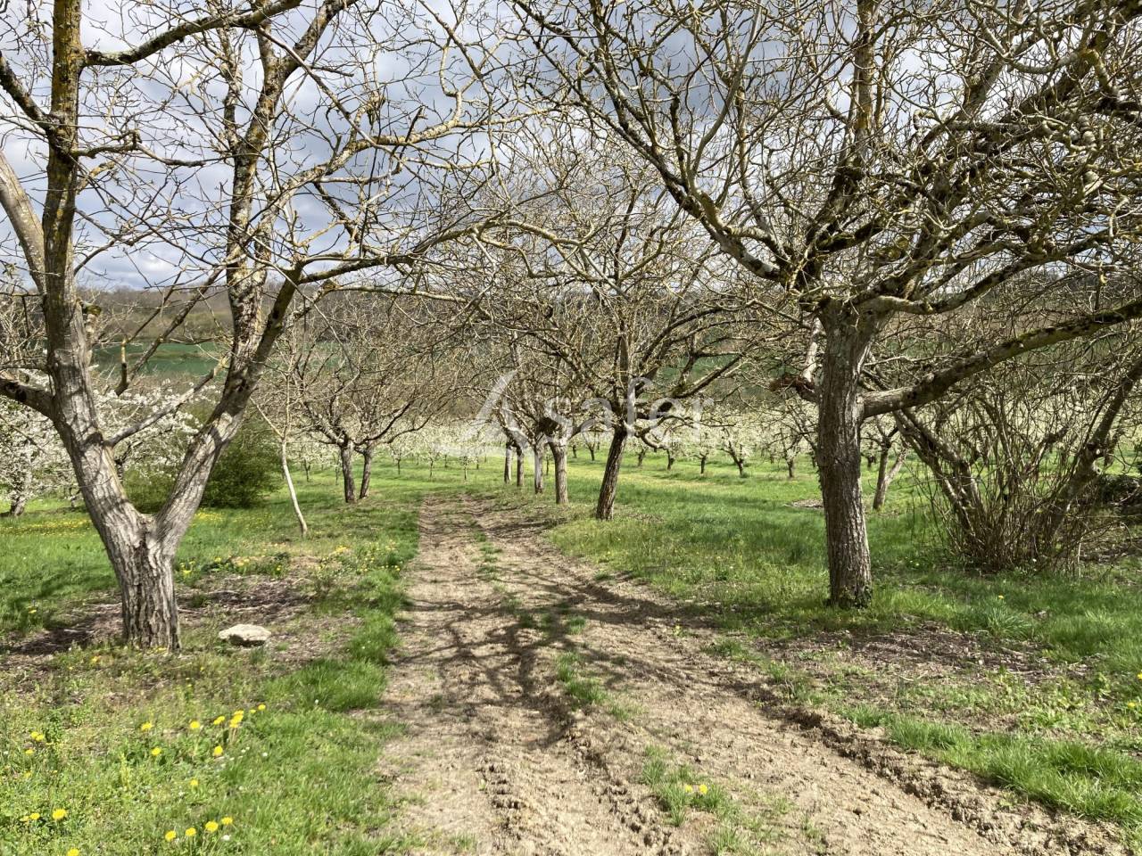 Other agricultural property  Lot-et-Garonne
