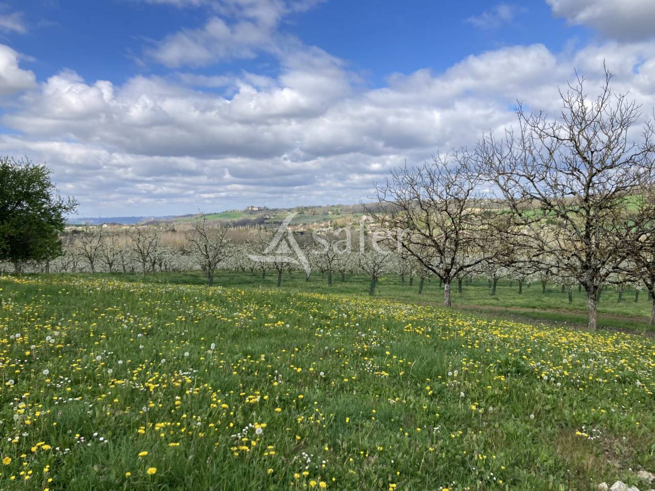 Other agricultural property  Lot-et-Garonne