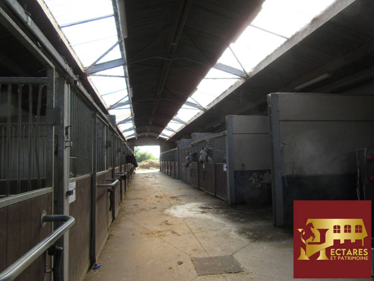 Equestrian property  Nord