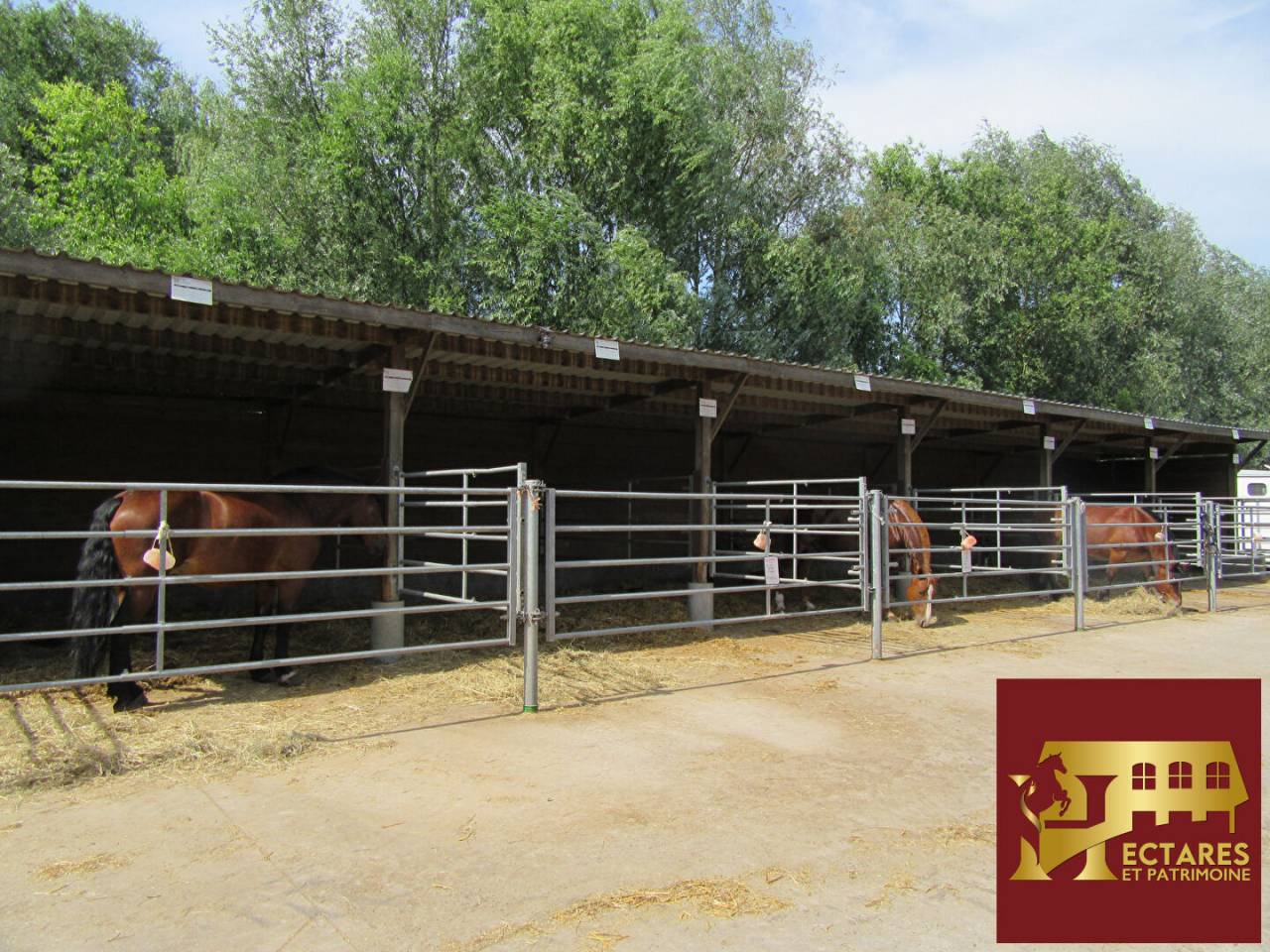 Equestrian property  Nord