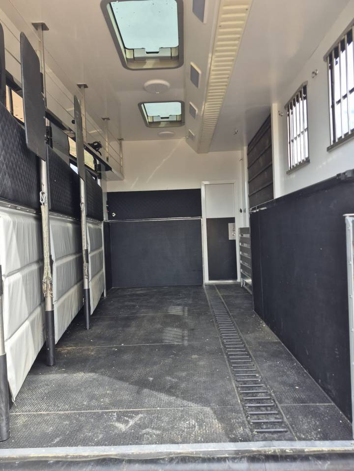 Horsebox NON-HGV Man NUYTS 2018 Used