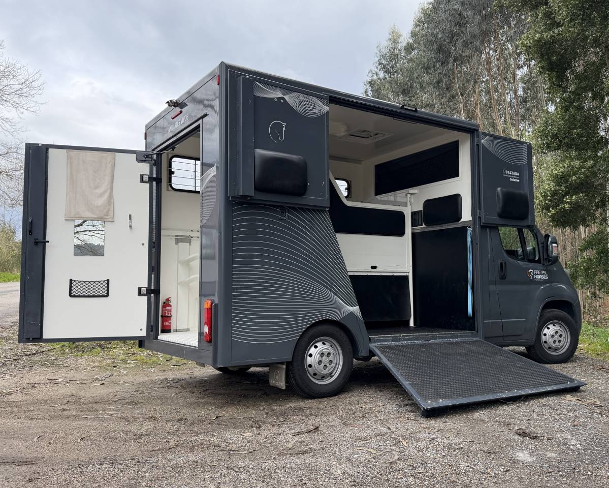 Horsebox HGV Citroen Junoer 2018 Used