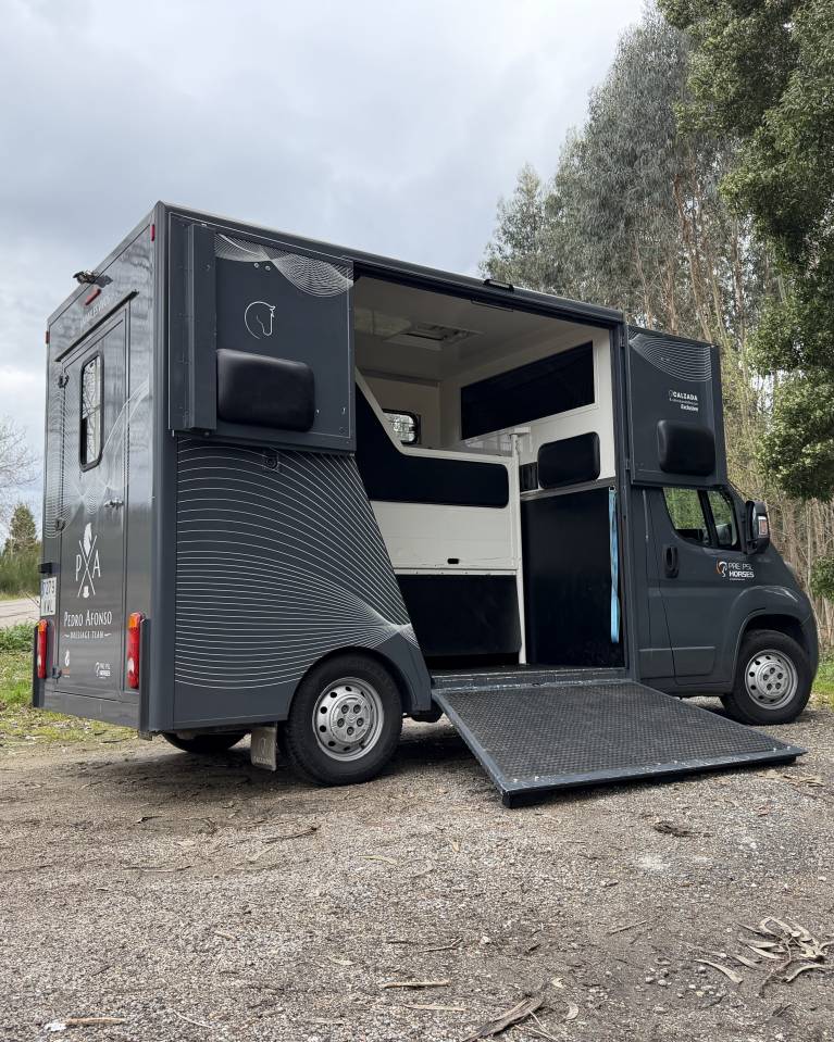 Horsebox HGV Citroen Junoer 2018 Used