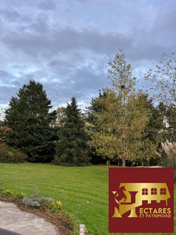 Equestrian property  Essonne