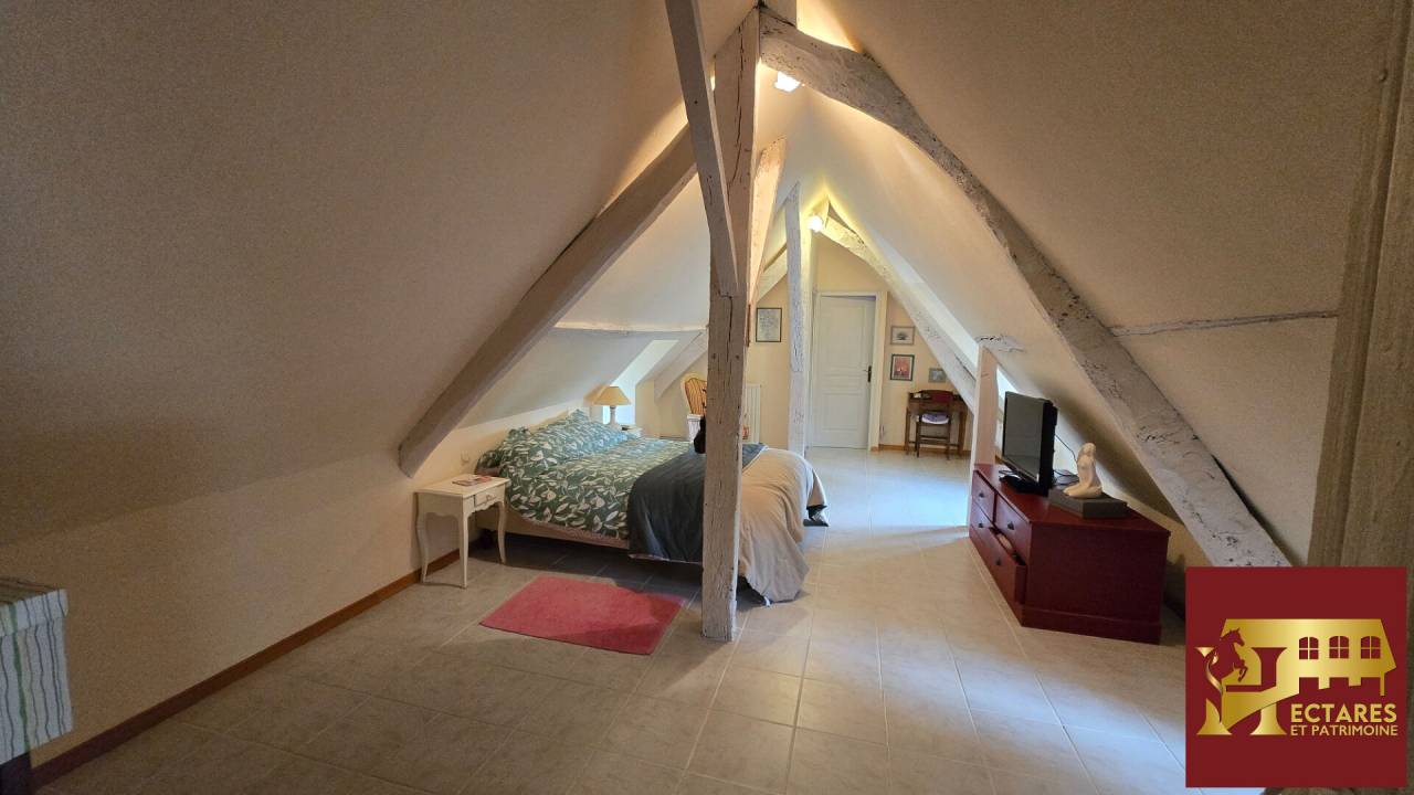 Equestrian property  Maine-et-Loire