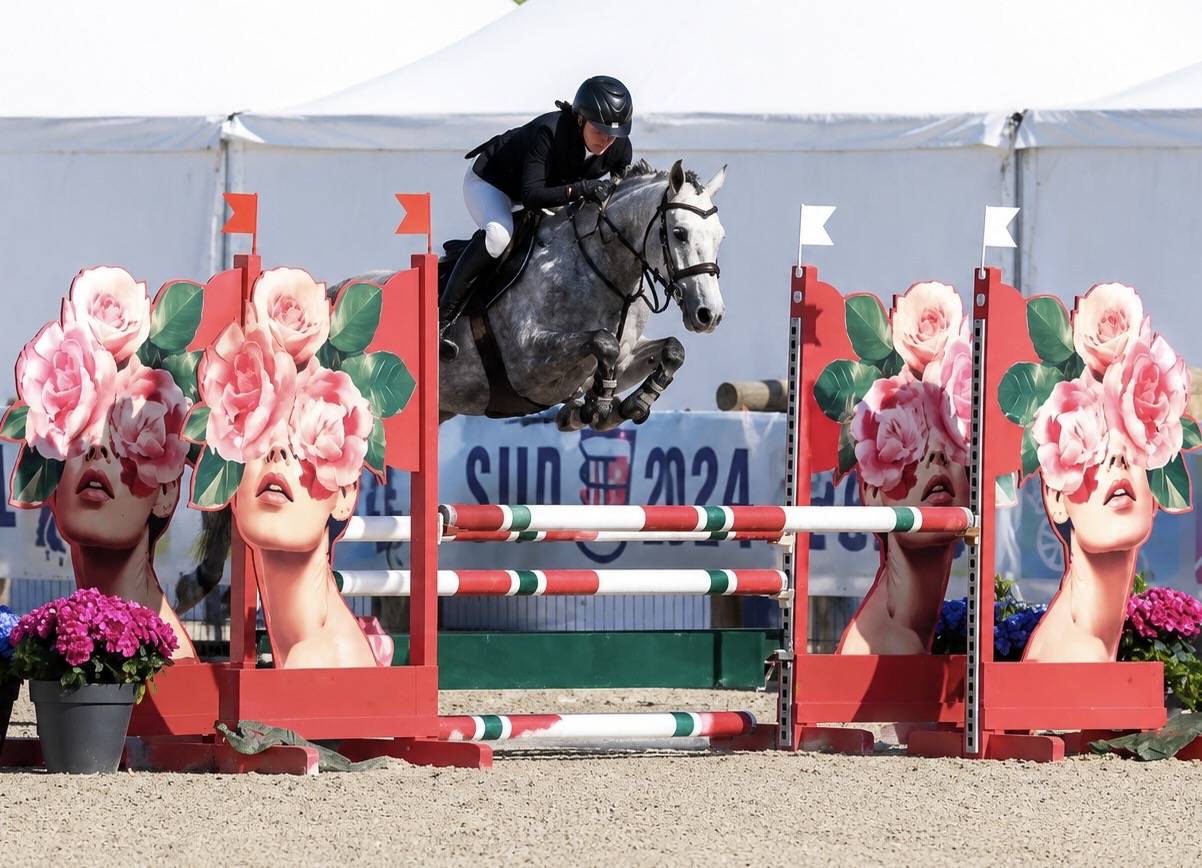 Mare French Saddle Pony For sale 2022 Grey