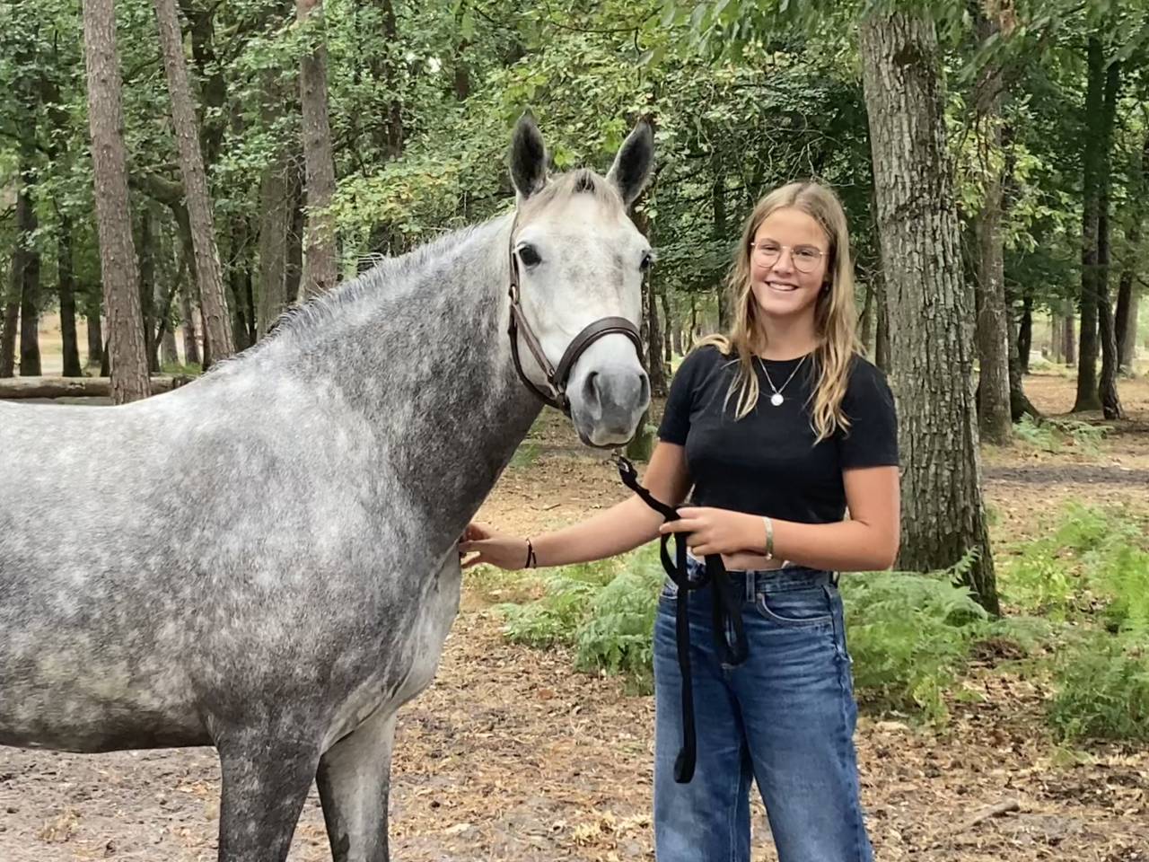 Mare French Saddle Pony For sale 2022 Grey