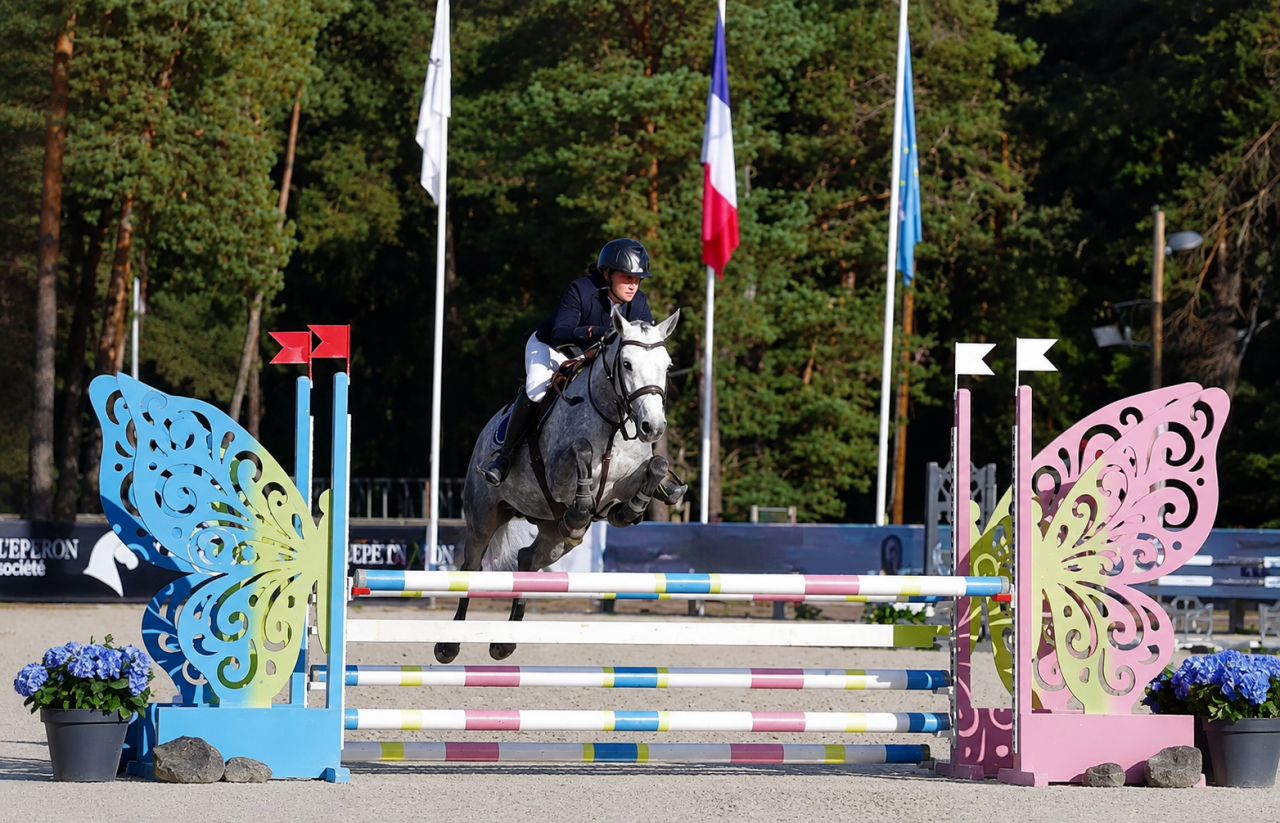 Mare French Saddle Pony For sale 2022 Grey