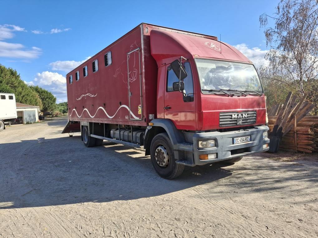 Horsebox NON-HGV Man x 2001 Used