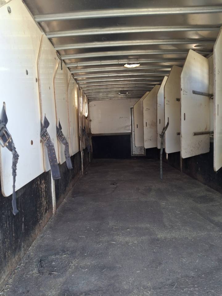 Horsebox NON-HGV Man x 2001 Used
