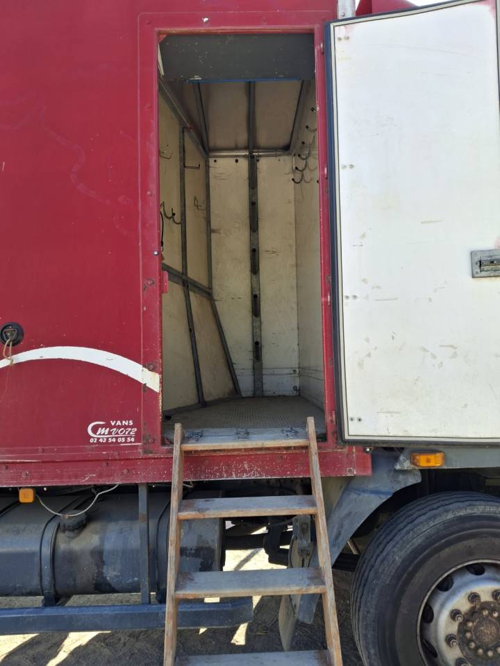 Horsebox NON-HGV Man x 2001 Used