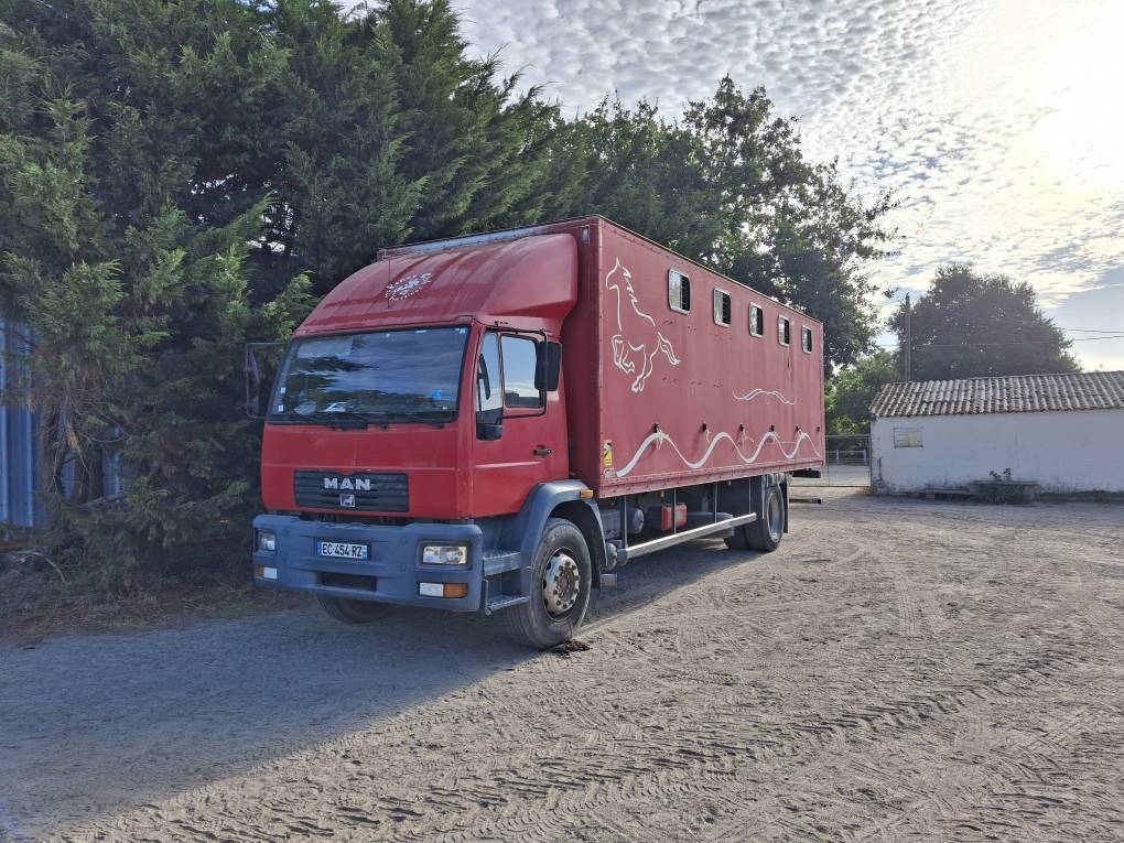 Horsebox NON-HGV Man x 2001 Used