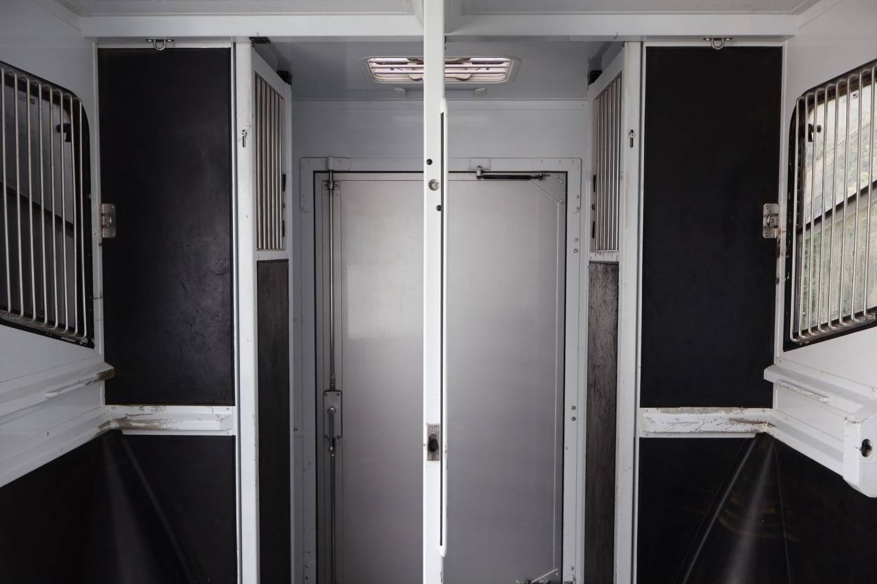 Horsebox HGV MTM FILOVAN MASTER  2018 Used