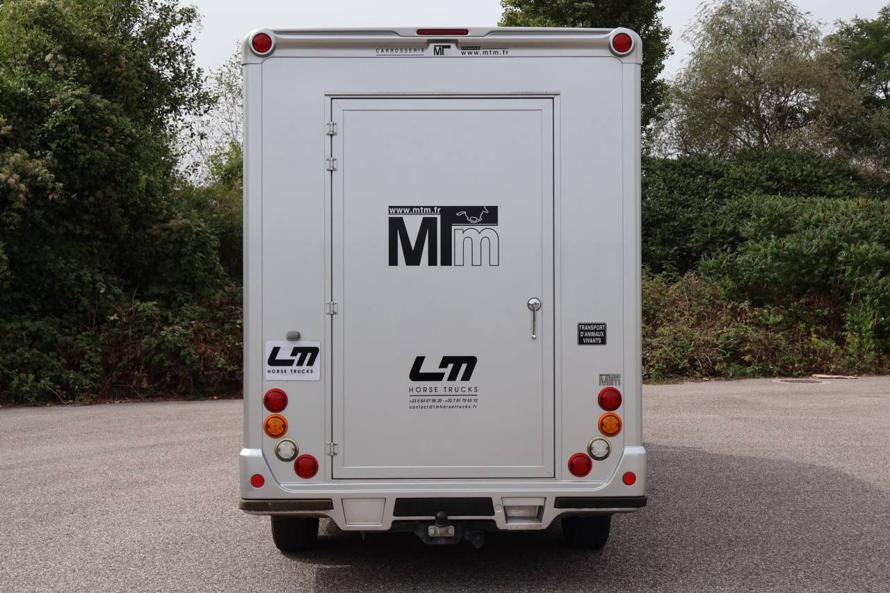 Horsebox HGV MTM FILOVAN MASTER  2018 Used