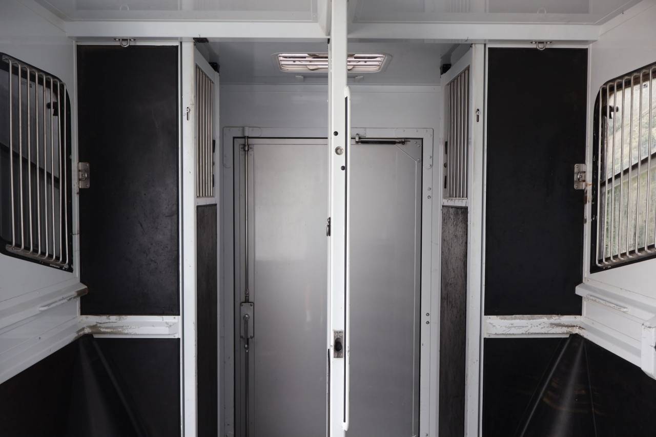 Horsebox HGV MTM FILOVAN MASTER  2018 Used