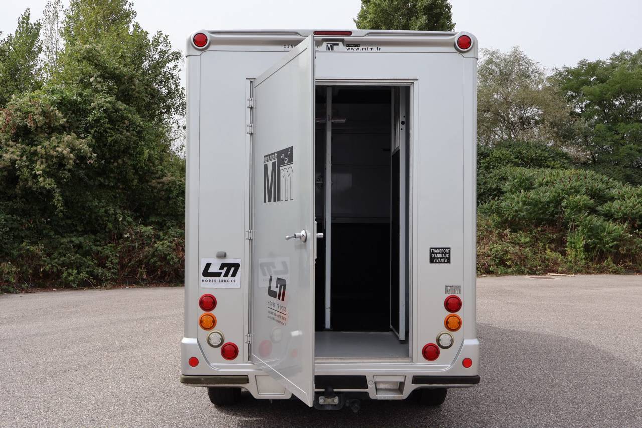 Horsebox HGV MTM FILOVAN MASTER  2018 Used