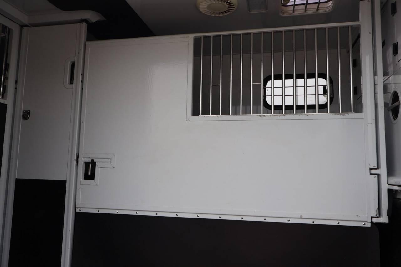Horsebox HGV MTM FILOVAN MASTER  2018 Used