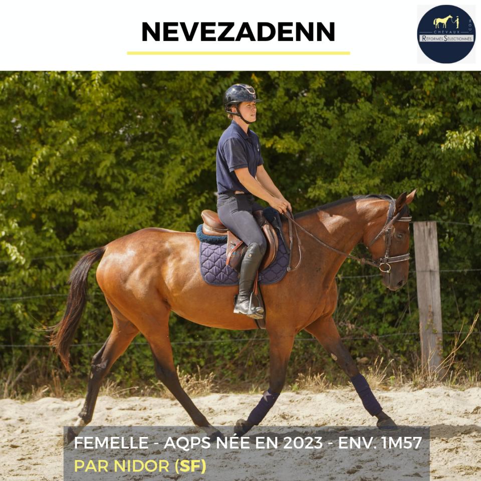 Mare AQPS For sale 2023 Bay