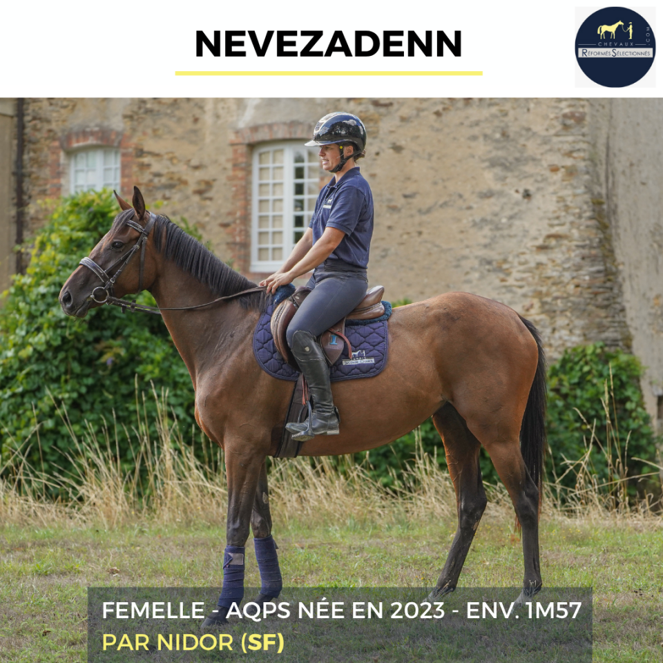 Mare AQPS For sale 2023 Bay