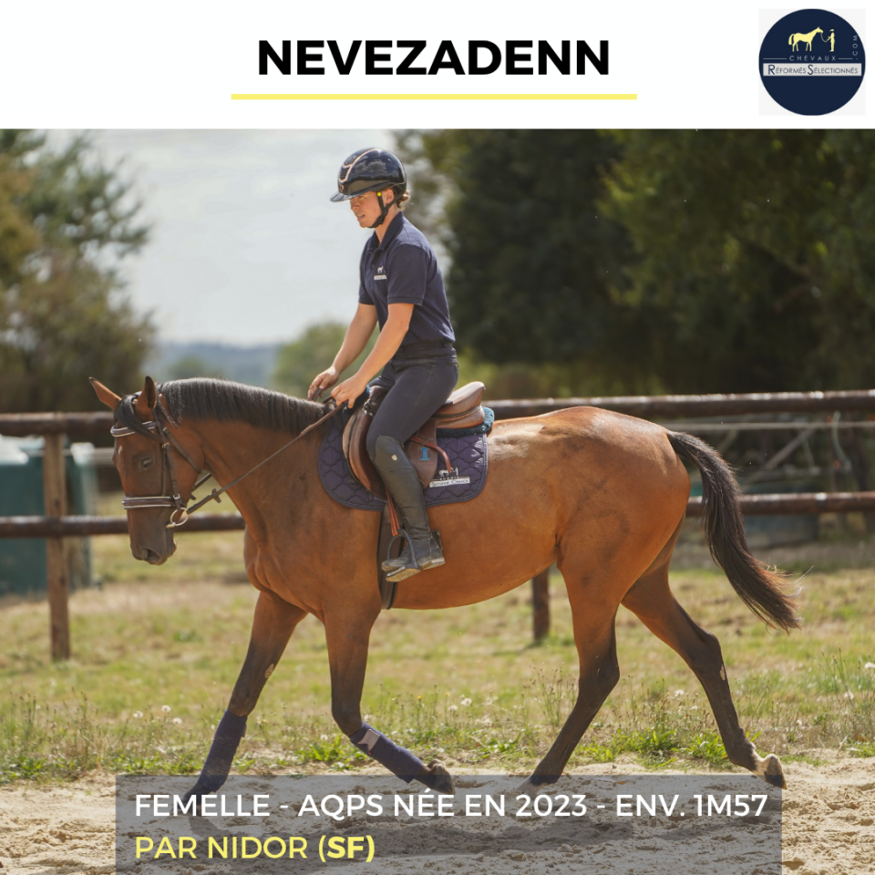 Mare AQPS For sale 2023 Bay
