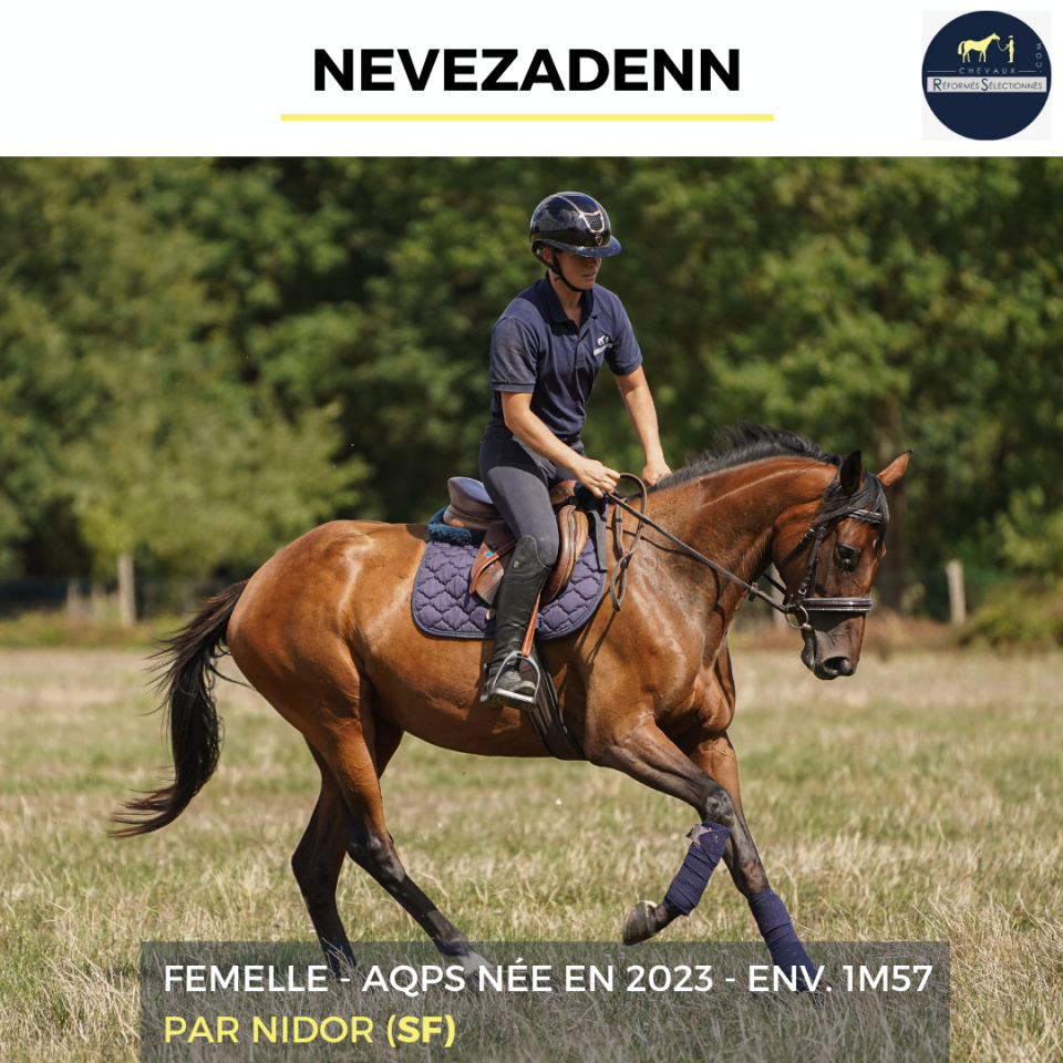 Mare AQPS For sale 2023 Bay
