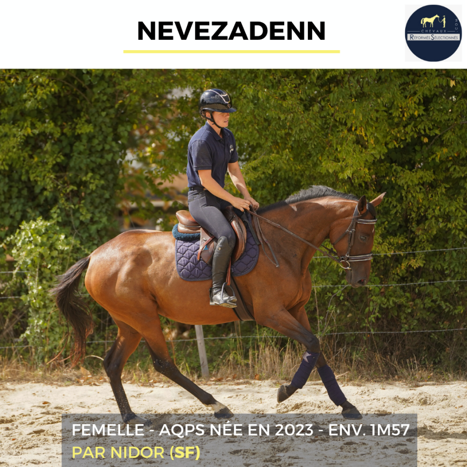 Mare AQPS For sale 2023 Bay