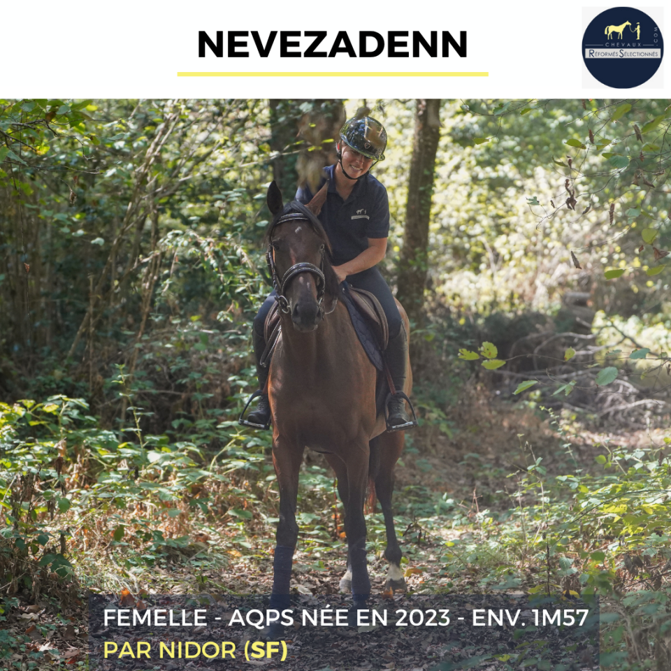 Mare AQPS For sale 2023 Bay