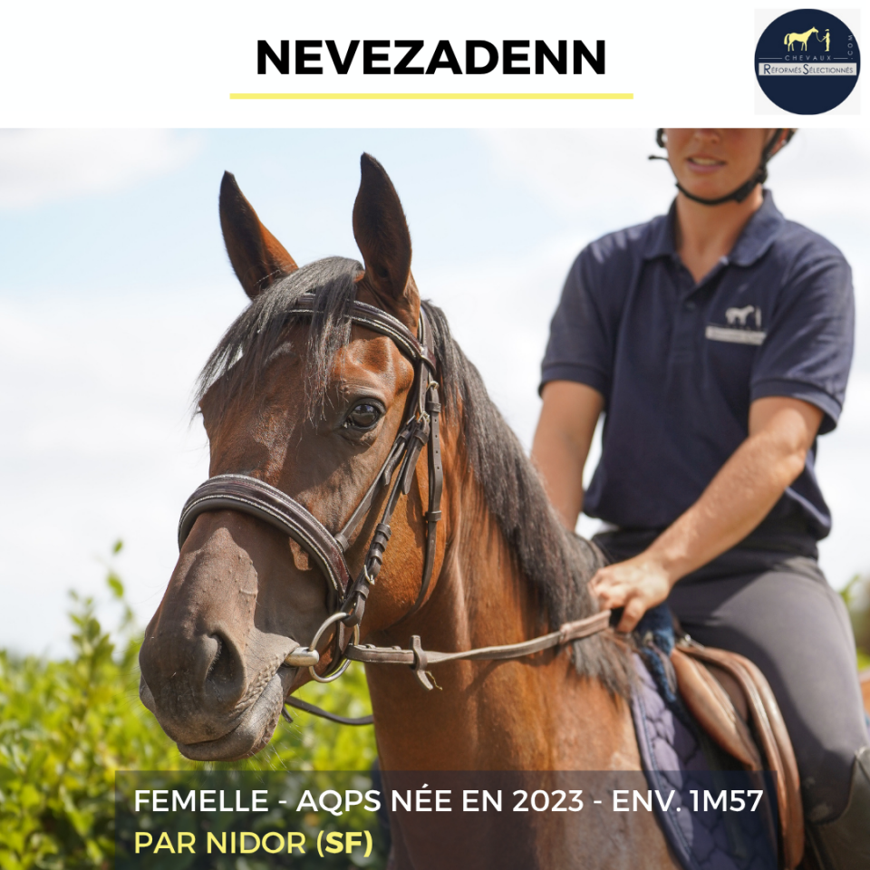 Mare AQPS For sale 2023 Bay