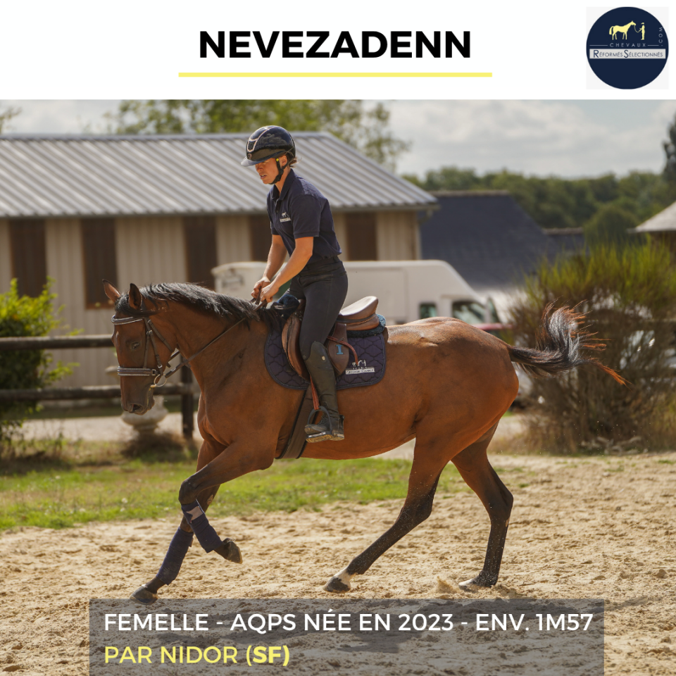 Mare AQPS For sale 2023 Bay