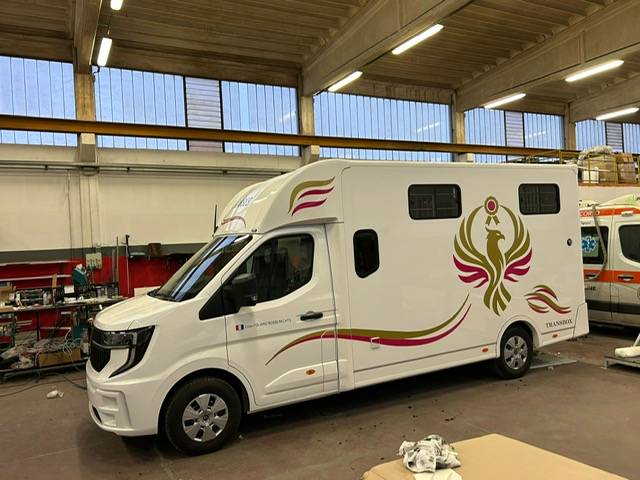 Horsebox HGV Trans Box Svelto 10 2026 New