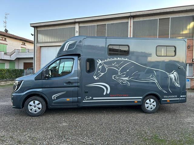Horsebox HGV Trans Box Svelto 10 2026 New