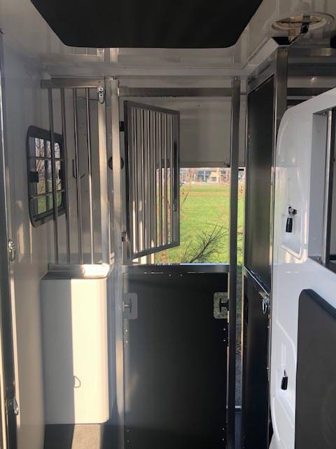 Horsebox HGV Trans Box Svelto 10 2026 New