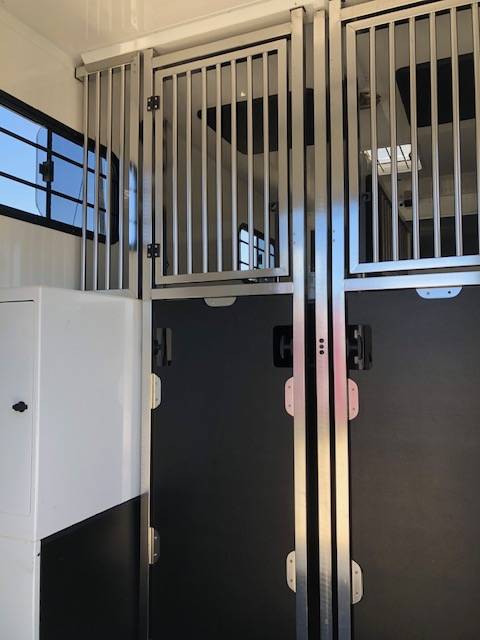 Horsebox HGV Trans Box Svelto 10 2026 New