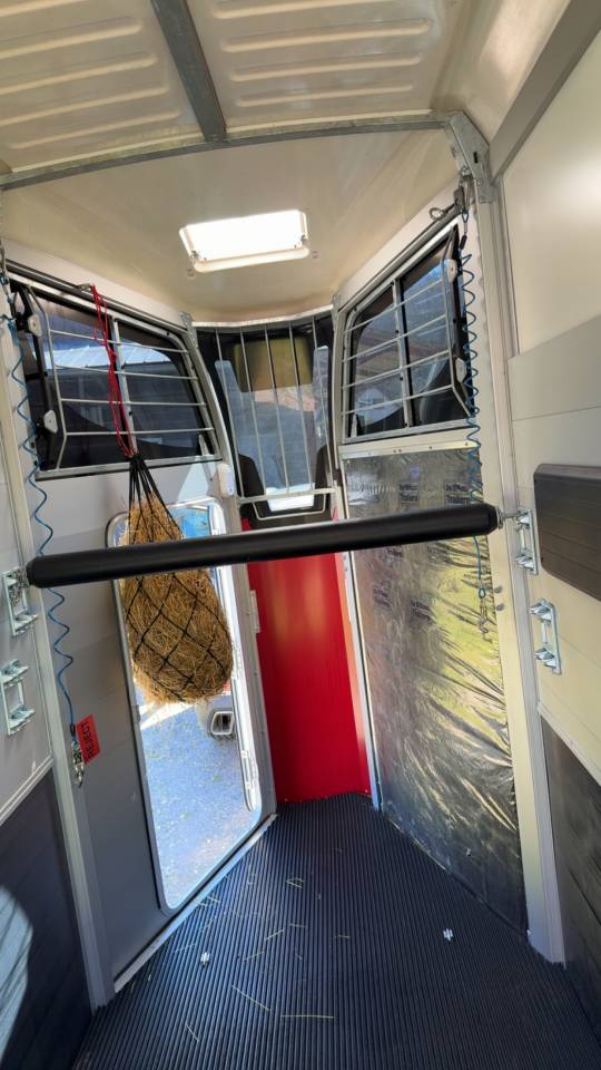 Horse trailer Ifor Williams HBX 403 1,5 Stalls 2024 Used