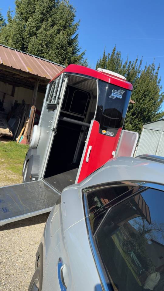Horse trailer Ifor Williams HBX 403 1,5 Stalls 2024 Used