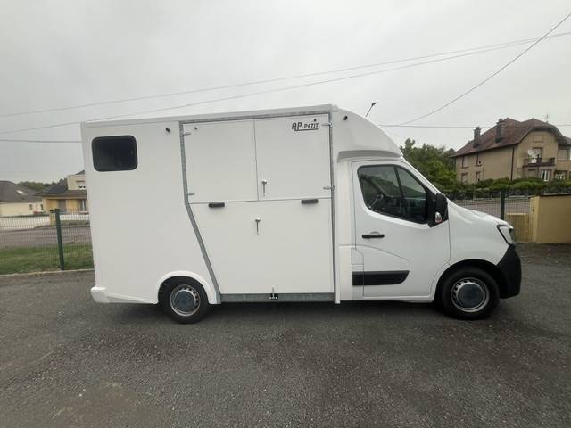 Horsebox HGV AP Petit Master 2023 2023 Used