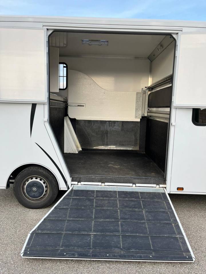 Horsebox HGV Opel Movano - Cavalcar 2020 Used