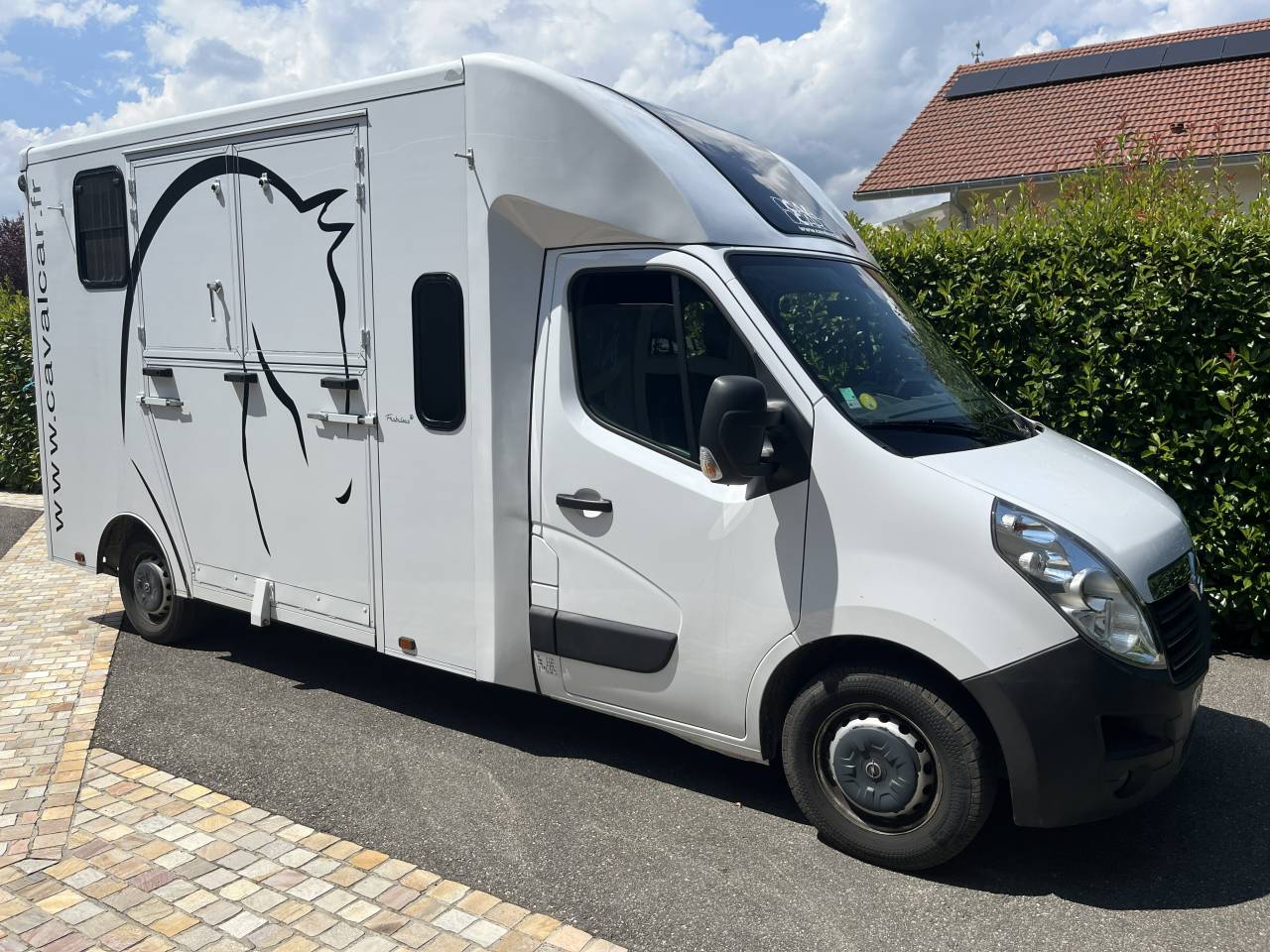 Horsebox HGV Opel Movano - Cavalcar 2020 Used