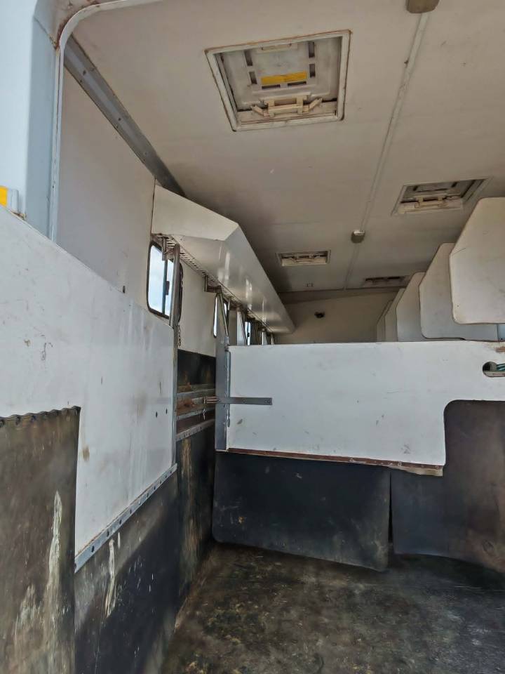 Horsebox NON-HGV Renault RENAULT PREMIUM 1999 Used
