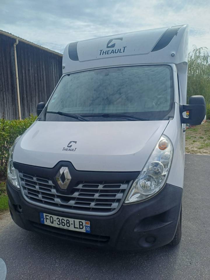 Horsebox HGV Theault pro theault 2020 Used