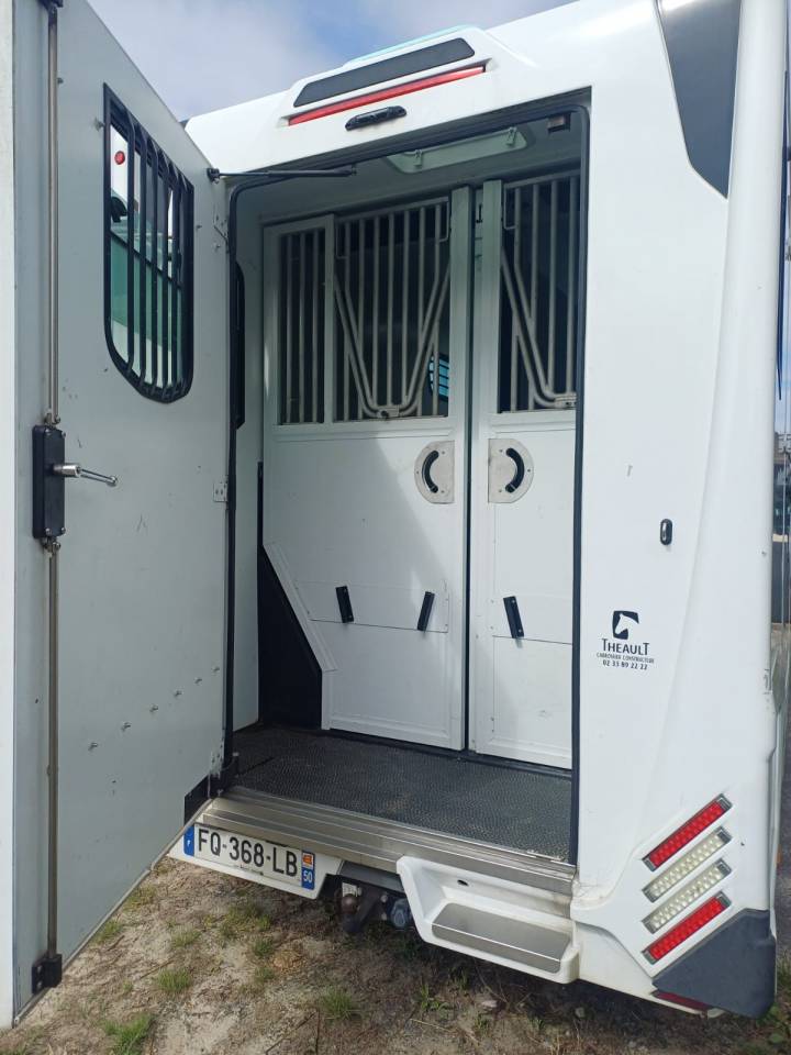 Horsebox HGV Theault pro theault 2020 Used