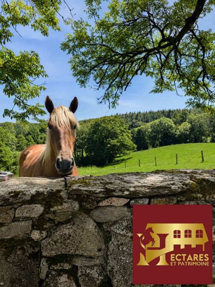 Equestrian Bed and Breakfast  Lot
