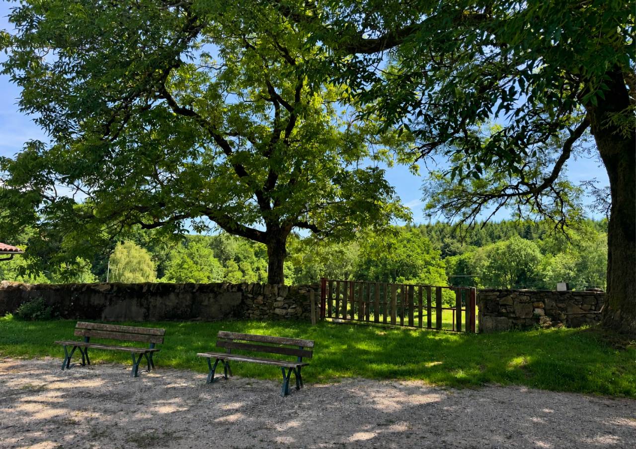 Equestrian Bed and Breakfast  Lot