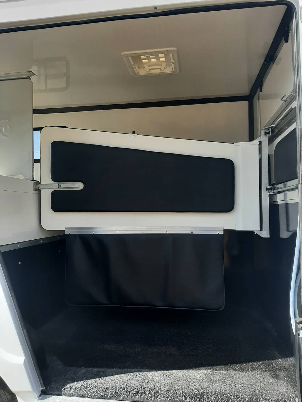 Horsebox HGV Renault Master 2020 Used