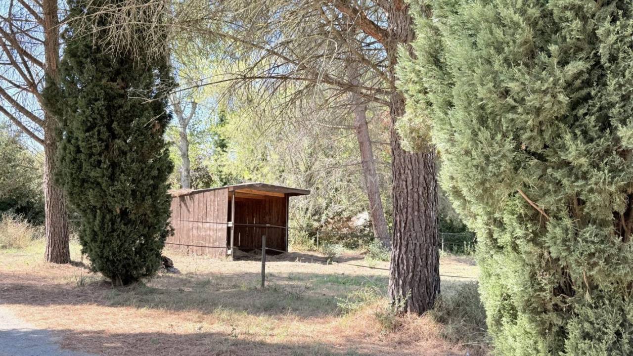 Equestrian property  H&eacute;rault