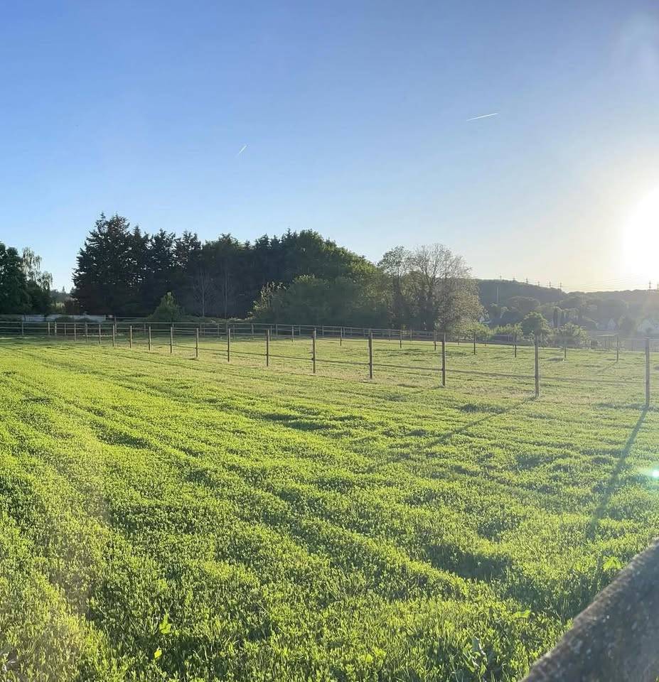 Equestrian property  Essonne