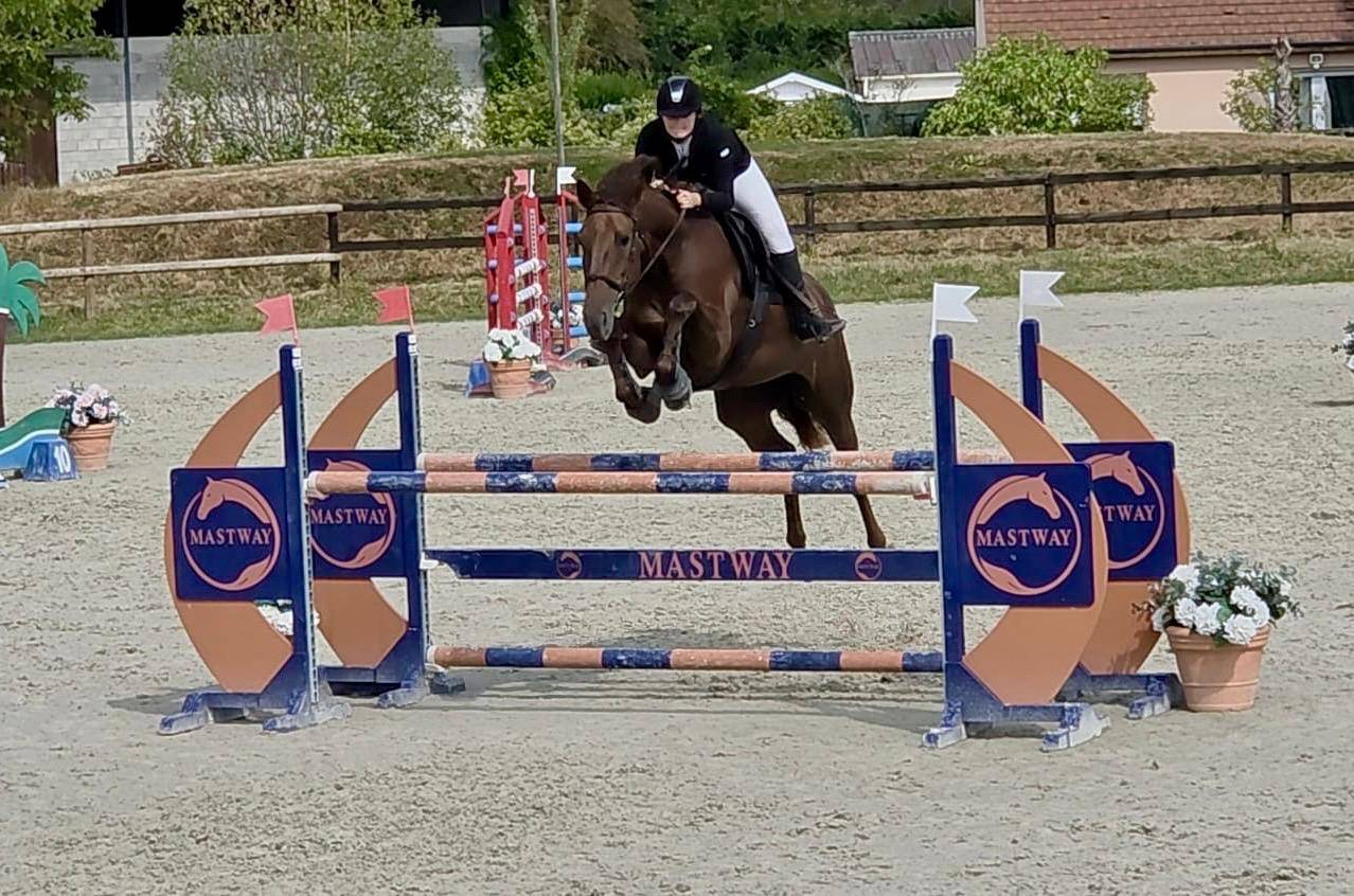 Mare Selle Fran&ccedil;ais For sale 2020 Liver chestnut