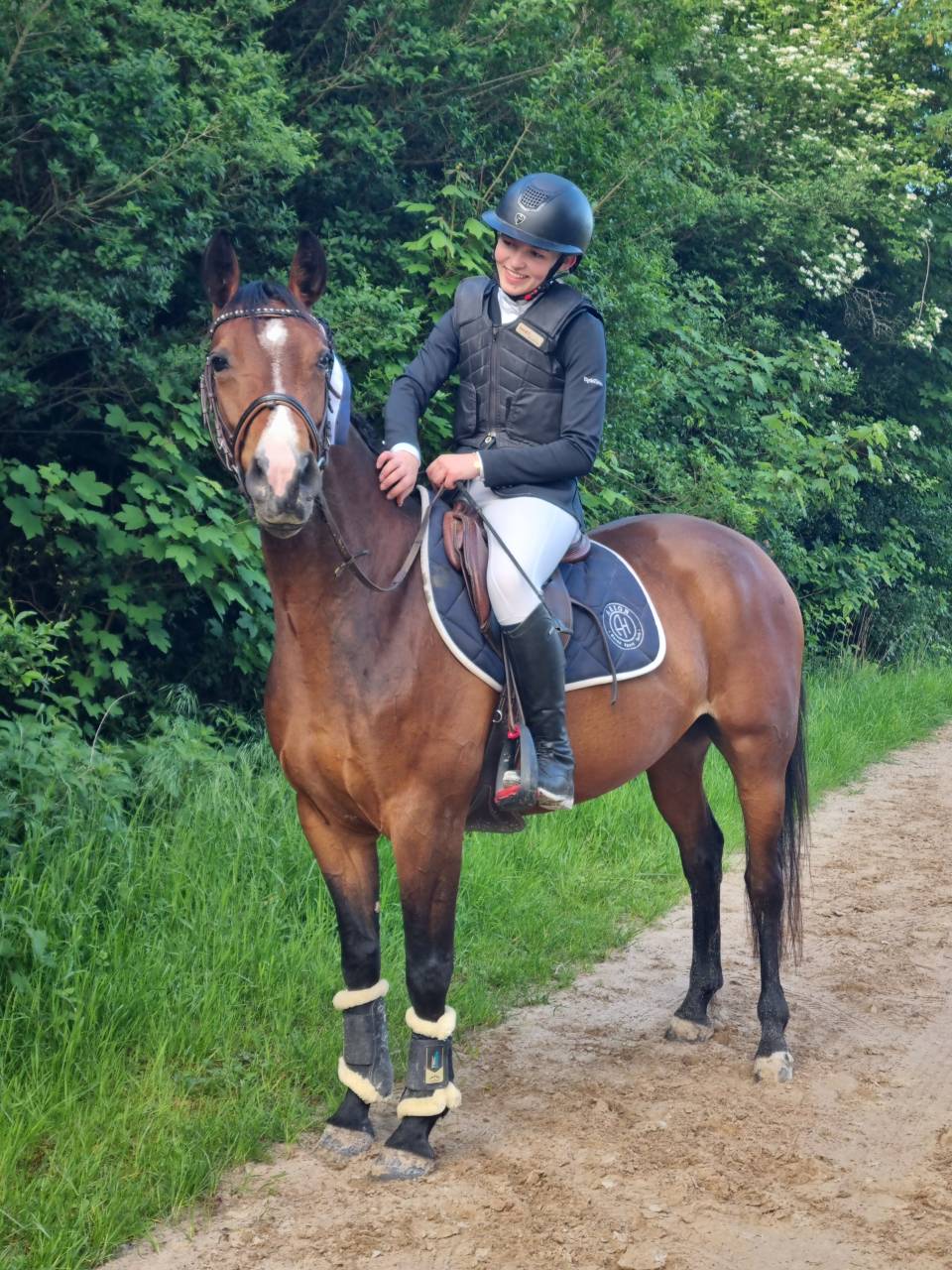Mare French Saddle Pony For sale 2022 Bay