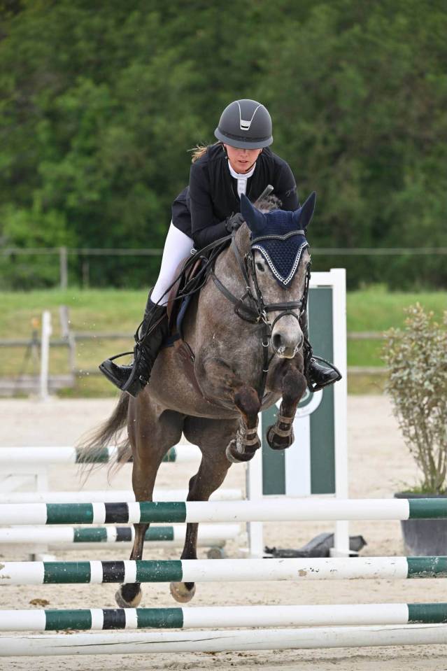 Mare French Saddle Pony For sale 2022 Grey